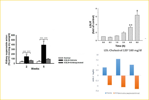 Liverty por Huesline