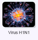 Virus H1N1
