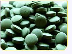 Alga Spirulina