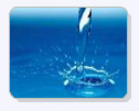 Aqua Magic Huesline