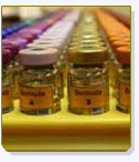 Aceite de aguacate