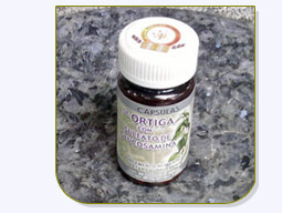 Ortiga de Glucosamina