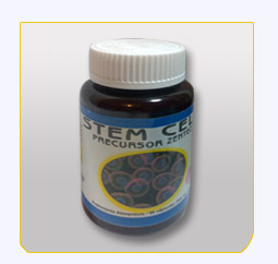 Stem Cell